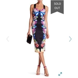 Ted Baker Deony Tapestry Floral Buckle Dress 2